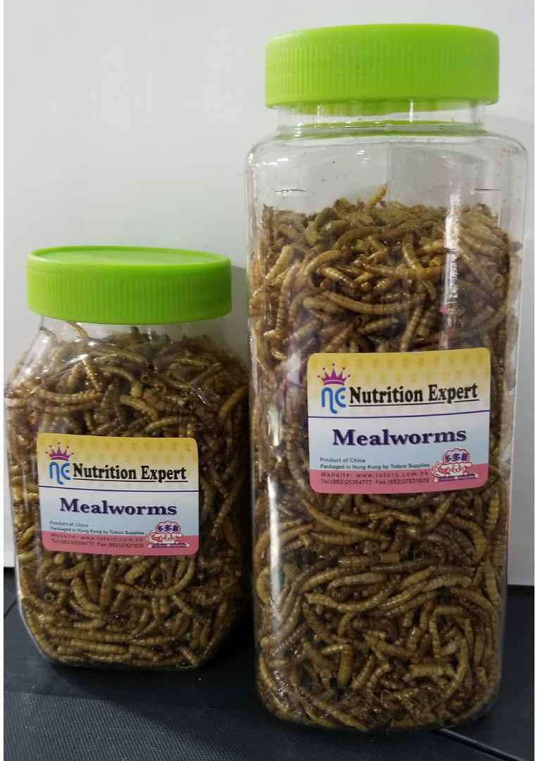 ne-dried-meal-worms-l